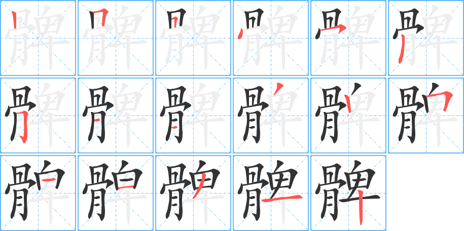 髀的笔顺分步演示